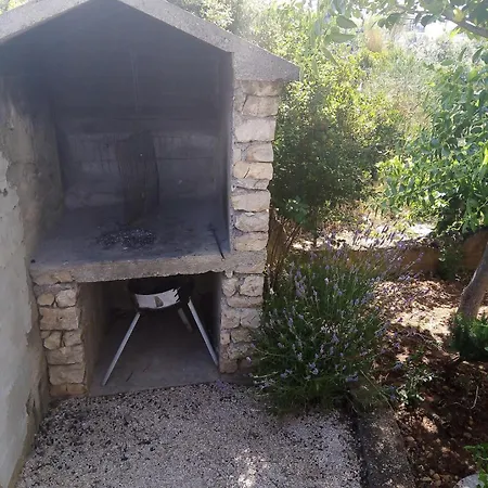 Toni * Brodarica (Sibenik-Knin)